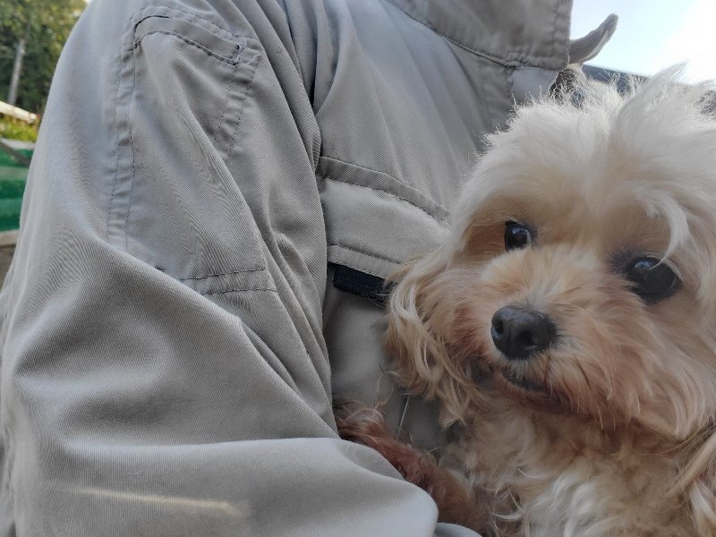 f:id:roukenhome-ann:20191118154218j:plain