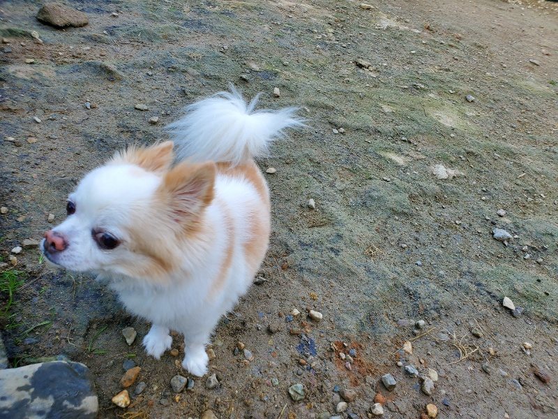 f:id:roukenhome-ann:20191118154247j:plain