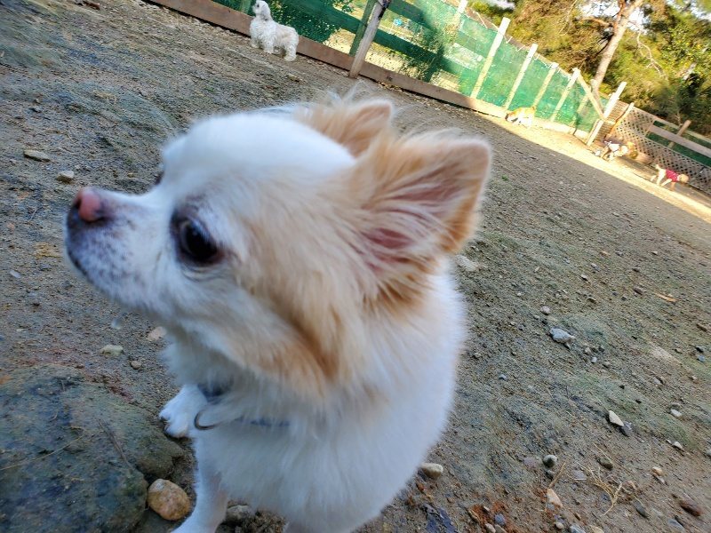 f:id:roukenhome-ann:20191118154252j:plain
