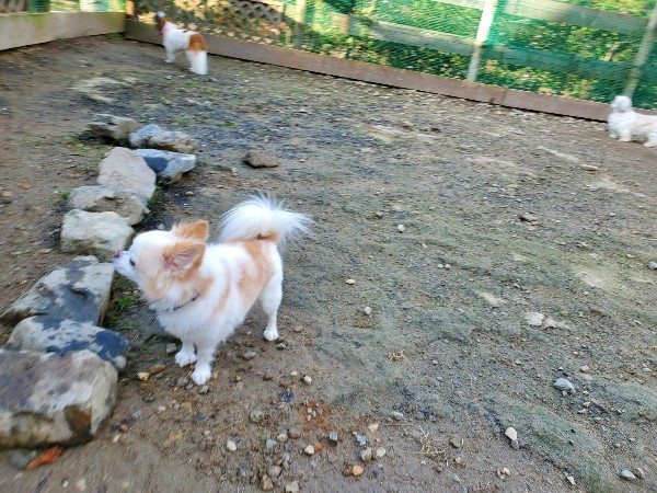 f:id:roukenhome-ann:20191118154303j:plain