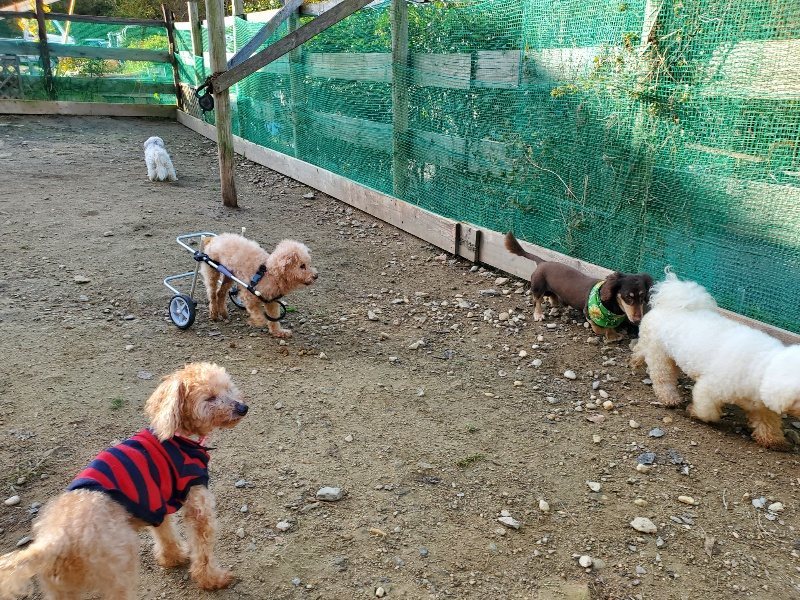 f:id:roukenhome-ann:20191118154351j:plain