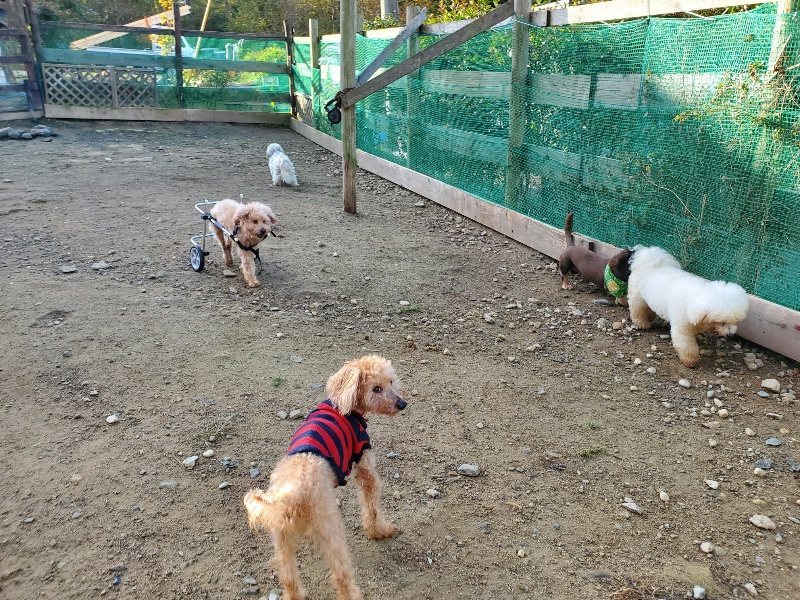 f:id:roukenhome-ann:20191118154407j:plain