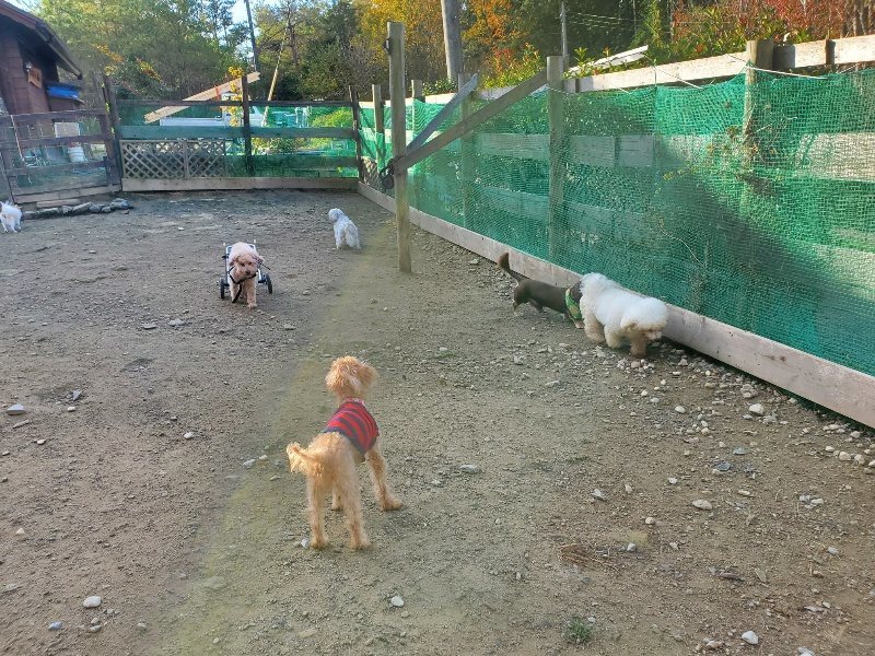 f:id:roukenhome-ann:20191118154419j:plain
