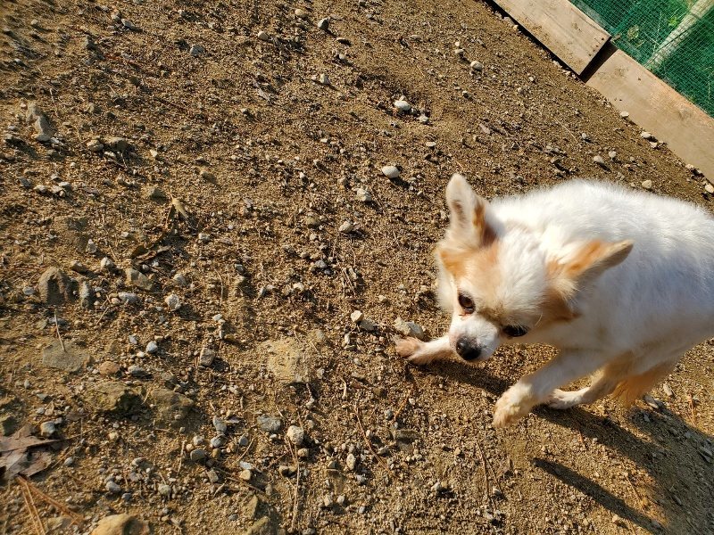 f:id:roukenhome-ann:20191118154430j:plain
