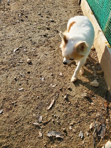 f:id:roukenhome-ann:20191118154442j:plain