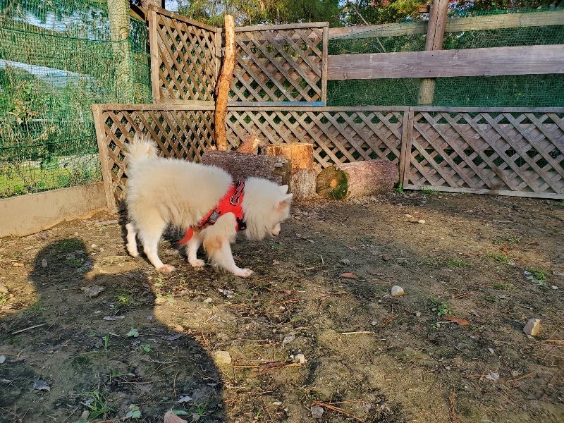 f:id:roukenhome-ann:20191118154450j:plain