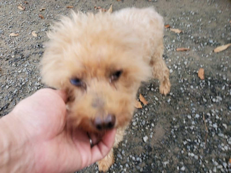 f:id:roukenhome-ann:20191118154631j:plain