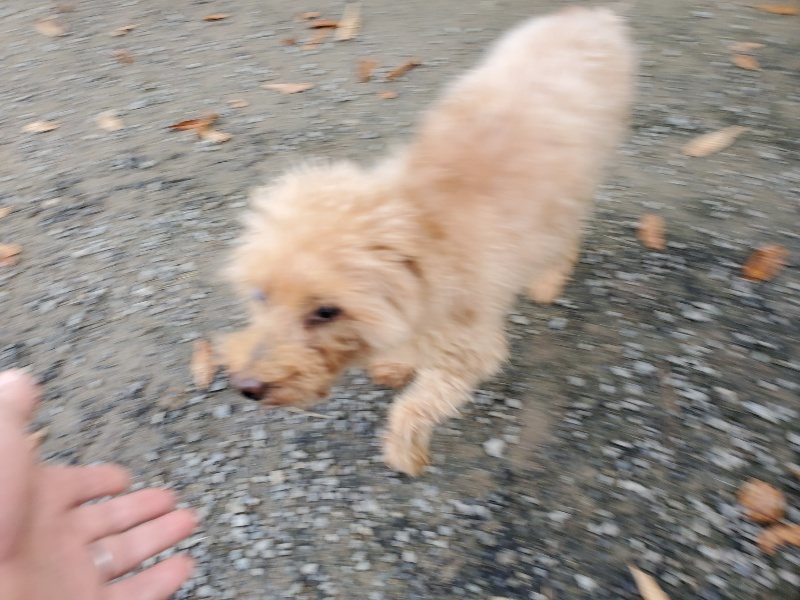 f:id:roukenhome-ann:20191118154637j:plain
