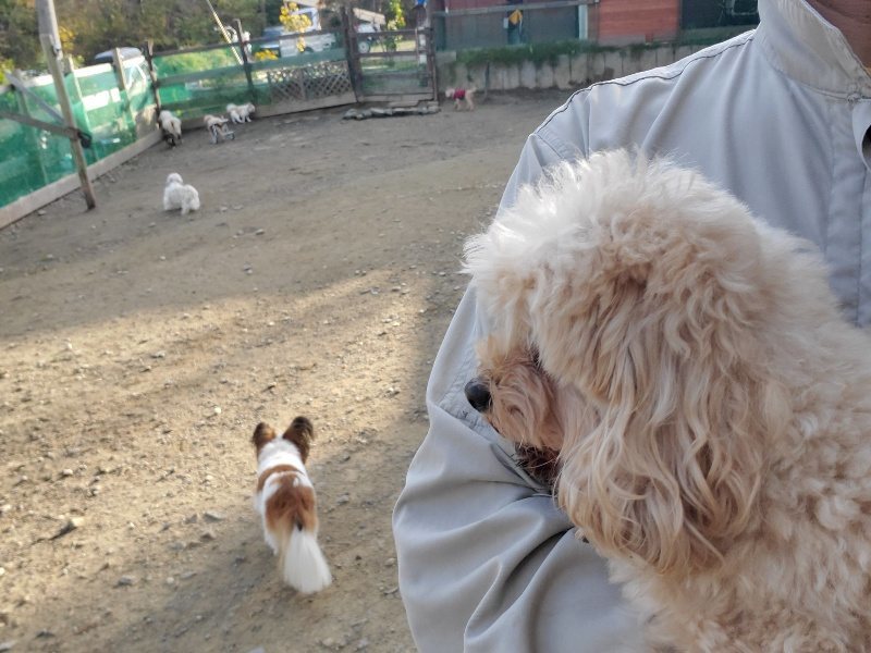 f:id:roukenhome-ann:20191118154700j:plain