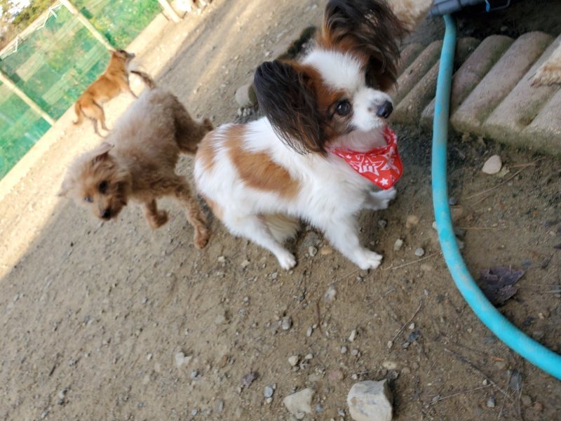 f:id:roukenhome-ann:20191118154818j:plain
