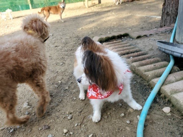 f:id:roukenhome-ann:20191118154840j:plain