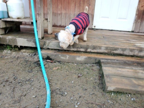 f:id:roukenhome-ann:20191118154845j:plain