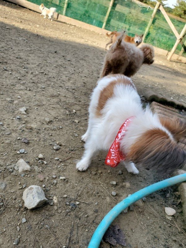 f:id:roukenhome-ann:20191118154853j:plain