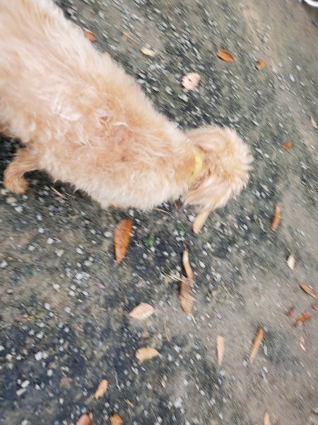 f:id:roukenhome-ann:20191118155005j:plain