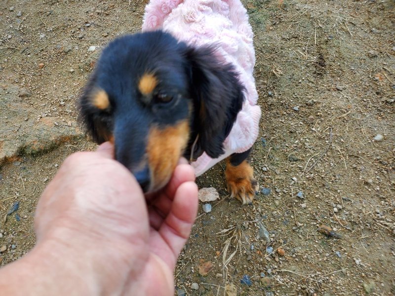 f:id:roukenhome-ann:20191118170825j:plain