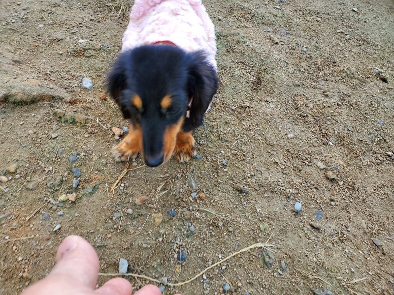 f:id:roukenhome-ann:20191118170833j:plain