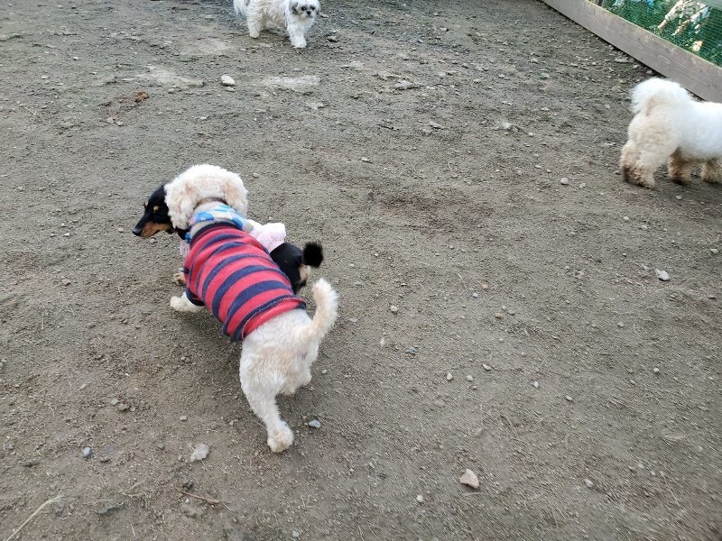 f:id:roukenhome-ann:20191118170841j:plain