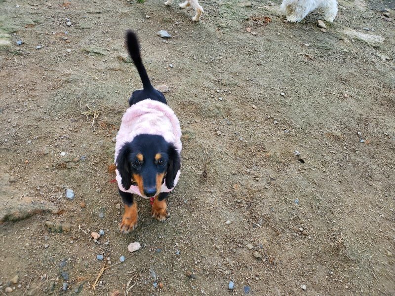 f:id:roukenhome-ann:20191118170854j:plain