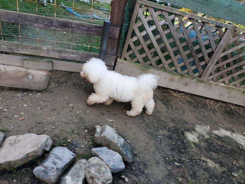 f:id:roukenhome-ann:20191118170907j:plain