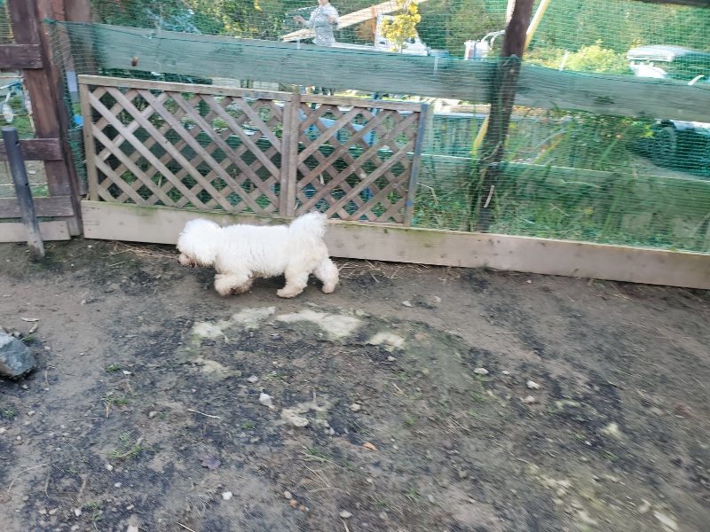 f:id:roukenhome-ann:20191118170914j:plain