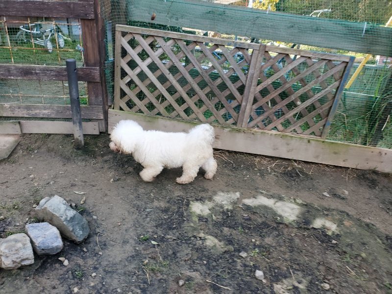 f:id:roukenhome-ann:20191118170922j:plain