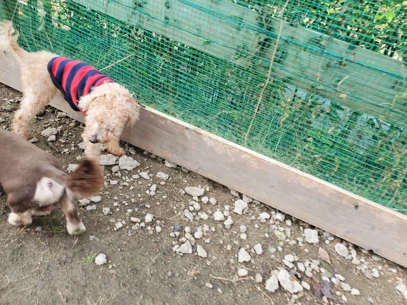 f:id:roukenhome-ann:20191118170938j:plain