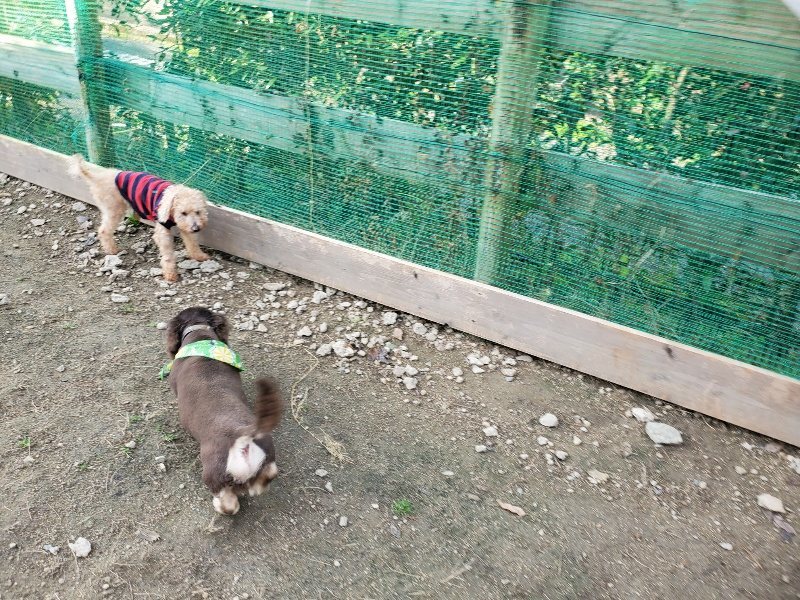 f:id:roukenhome-ann:20191118170958j:plain
