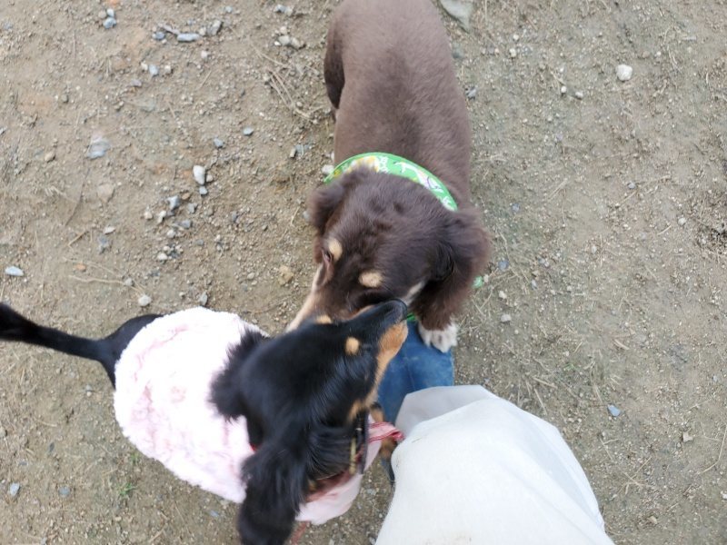 f:id:roukenhome-ann:20191118171018j:plain