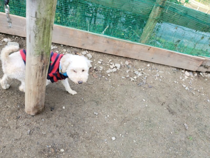 f:id:roukenhome-ann:20191118171025j:plain