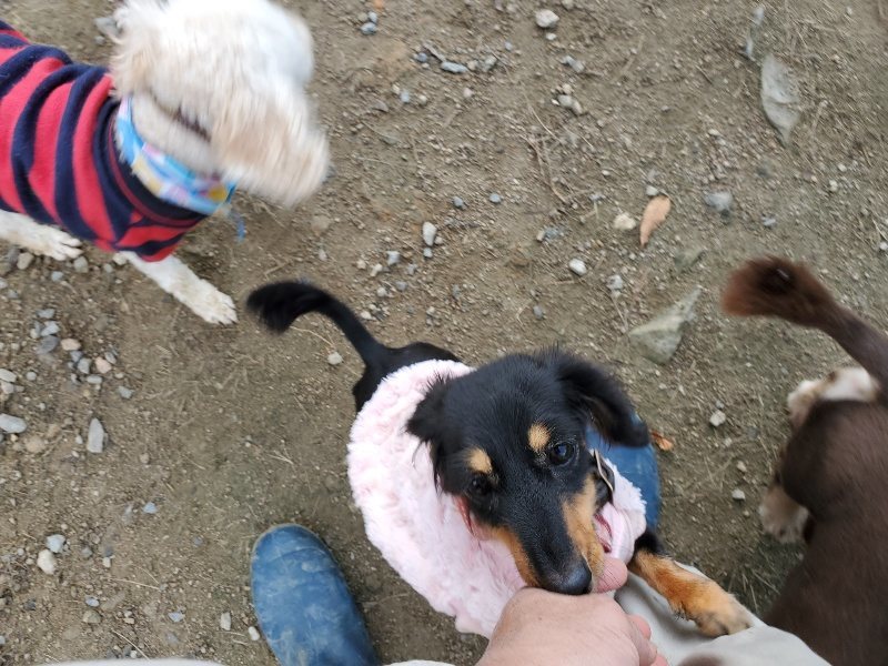 f:id:roukenhome-ann:20191118171048j:plain