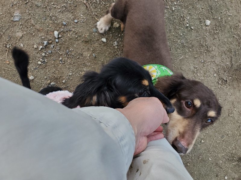 f:id:roukenhome-ann:20191118171056j:plain