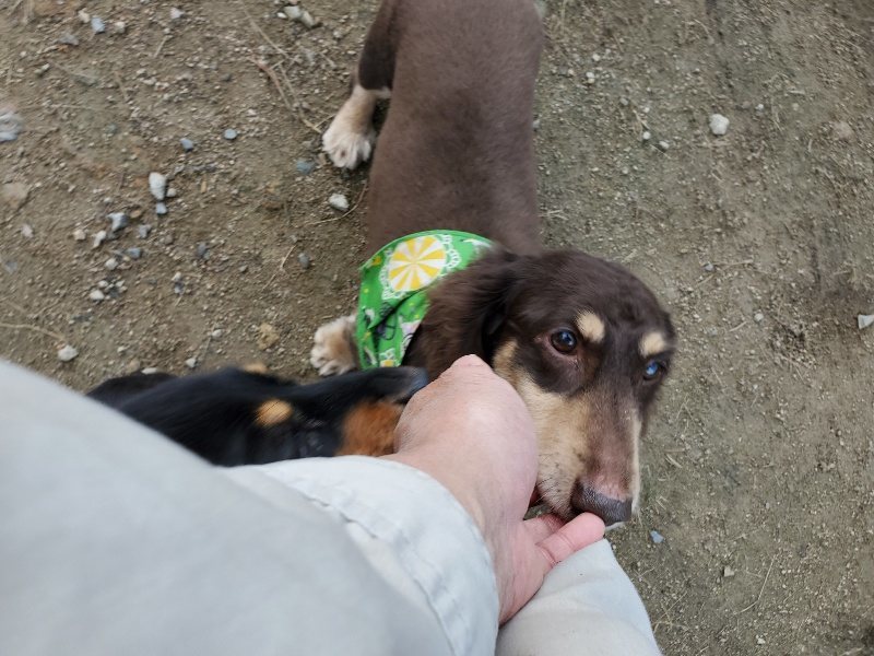 f:id:roukenhome-ann:20191118171107j:plain