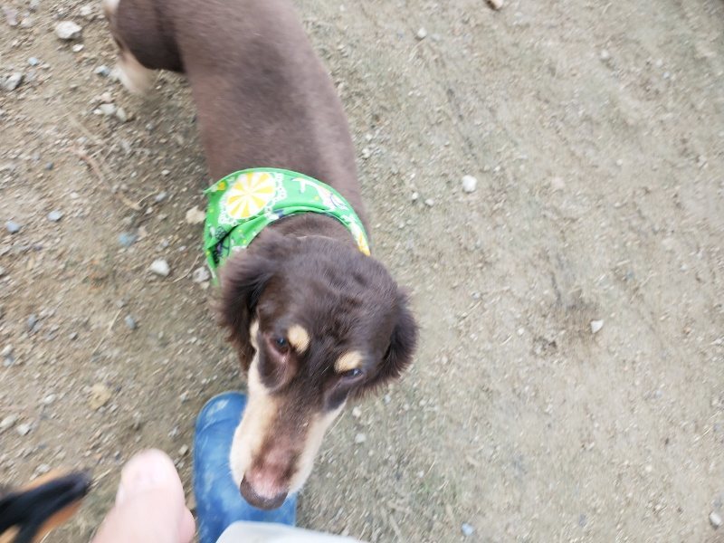 f:id:roukenhome-ann:20191118171115j:plain