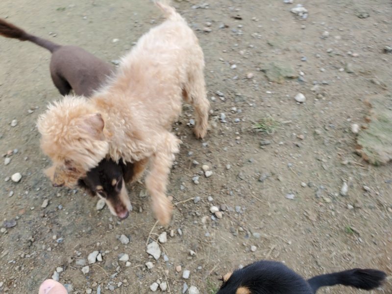 f:id:roukenhome-ann:20191118171137j:plain