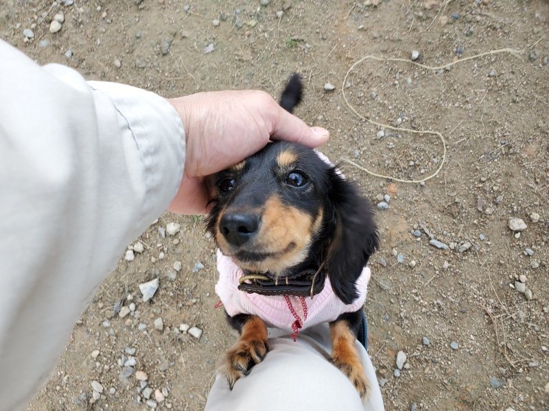 f:id:roukenhome-ann:20191118171146j:plain