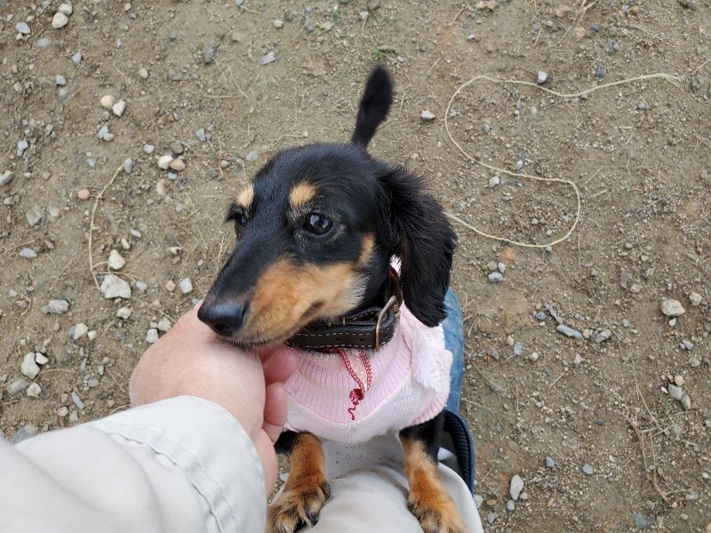 f:id:roukenhome-ann:20191118171159j:plain
