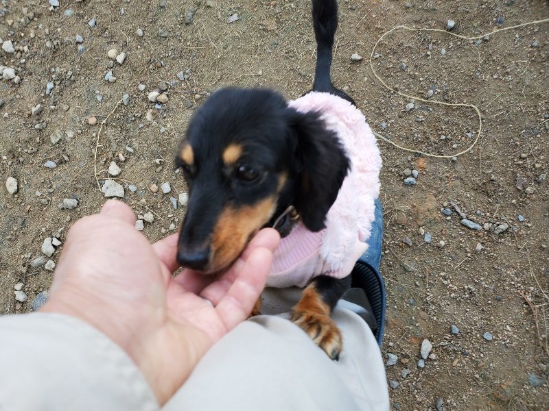 f:id:roukenhome-ann:20191118171210j:plain