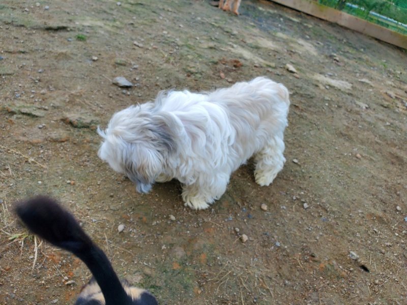 f:id:roukenhome-ann:20191118171249j:plain
