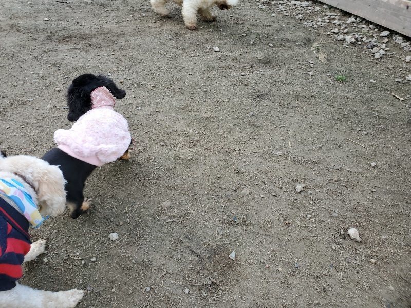 f:id:roukenhome-ann:20191118171353j:plain