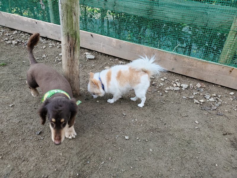 f:id:roukenhome-ann:20191118171417j:plain