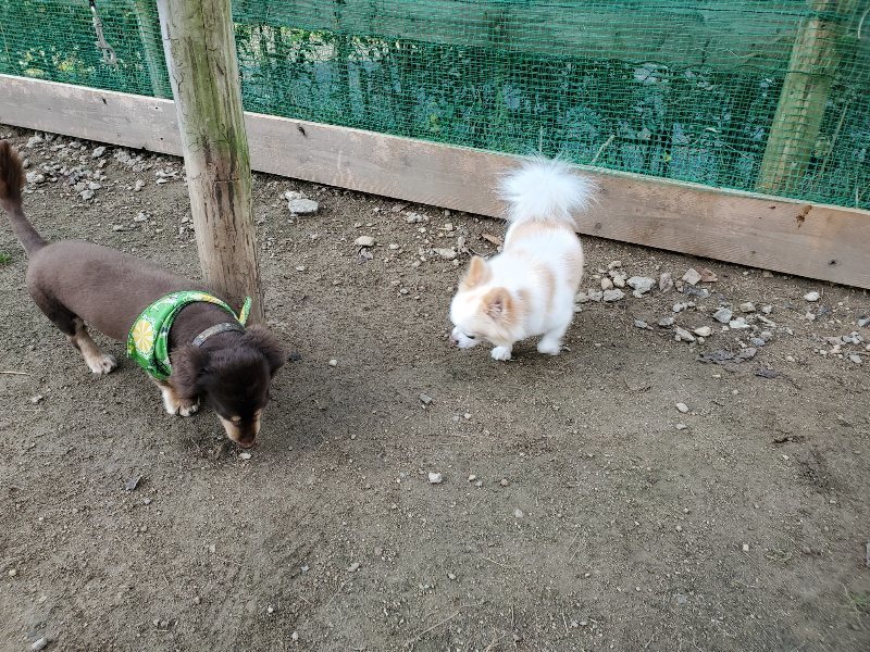 f:id:roukenhome-ann:20191118171425j:plain
