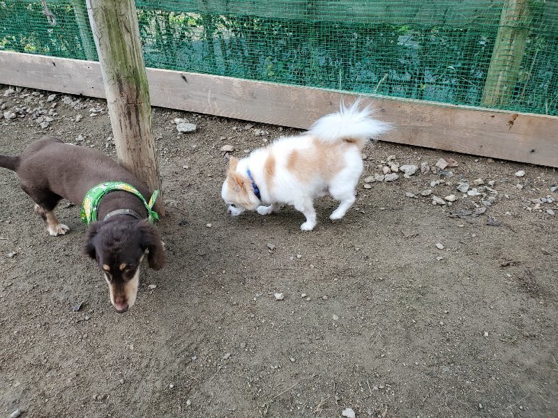 f:id:roukenhome-ann:20191118171433j:plain