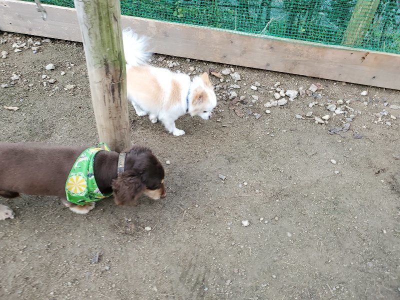 f:id:roukenhome-ann:20191118171444j:plain