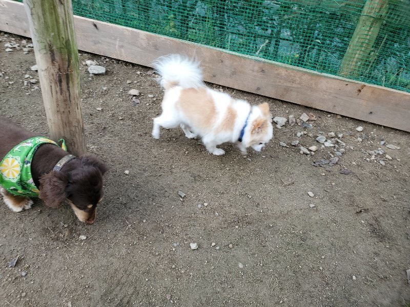 f:id:roukenhome-ann:20191118171451j:plain