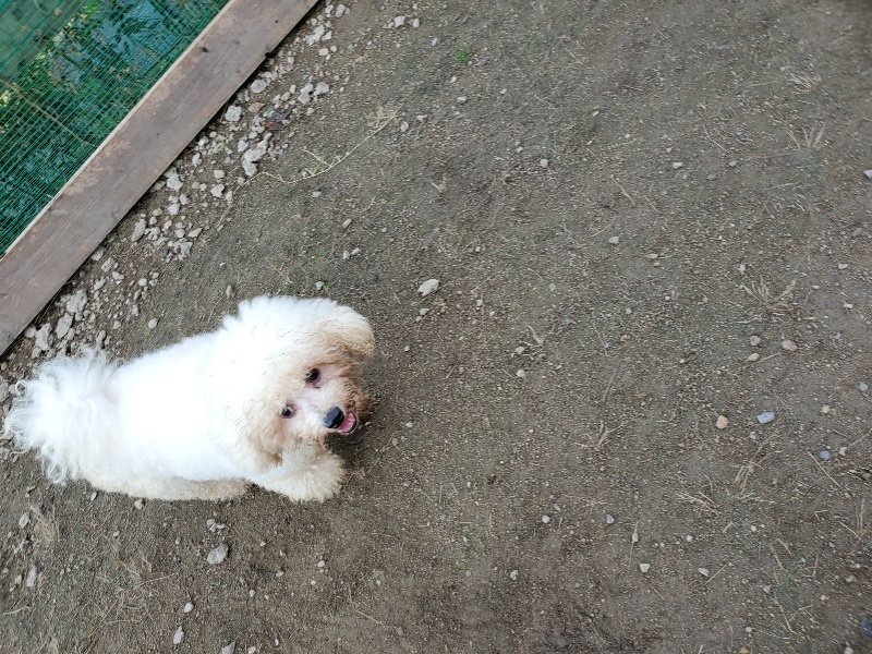 f:id:roukenhome-ann:20191118171456j:plain