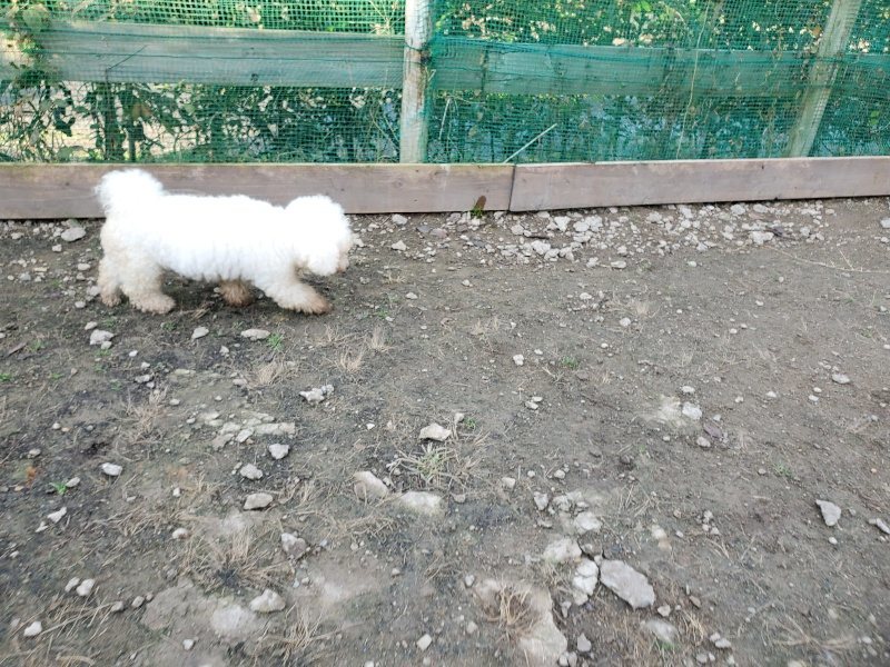 f:id:roukenhome-ann:20191118171526j:plain