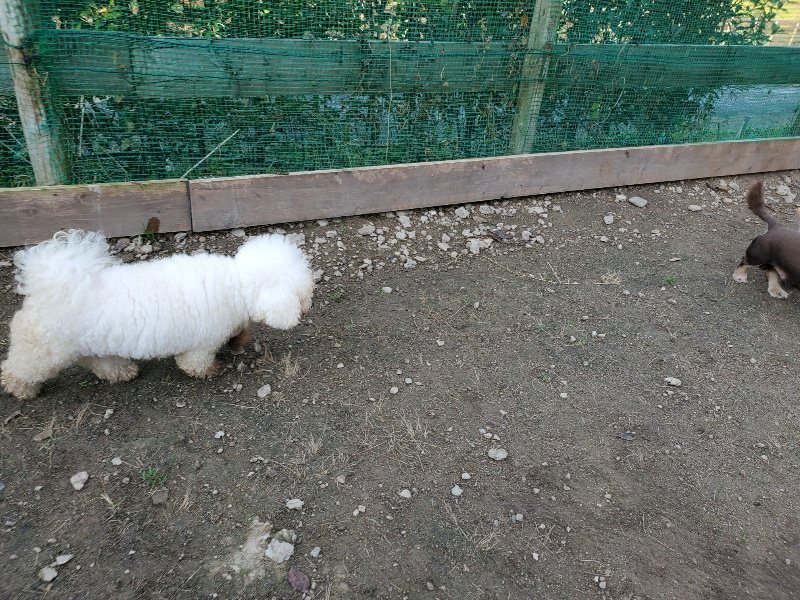 f:id:roukenhome-ann:20191118171533j:plain