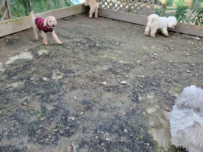 f:id:roukenhome-ann:20191118171541j:plain