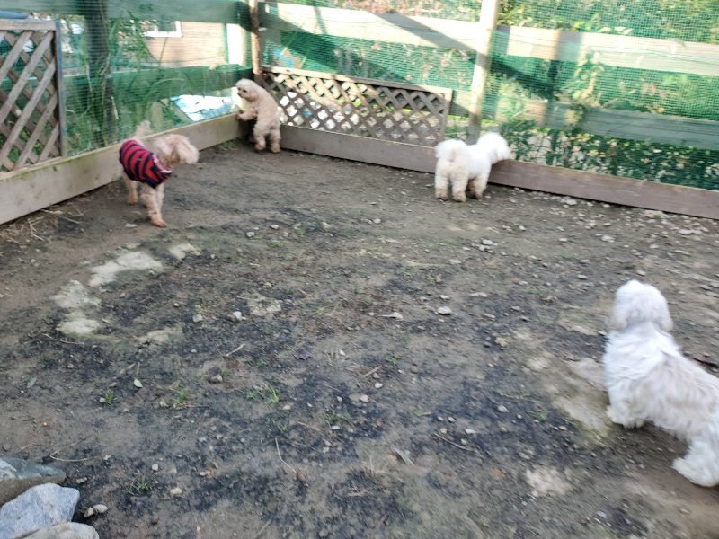 f:id:roukenhome-ann:20191118171553j:plain