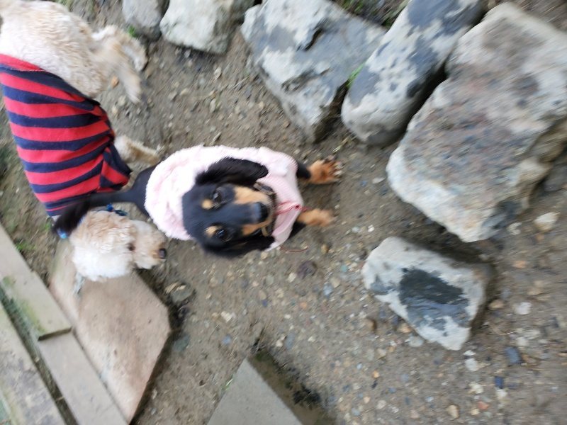 f:id:roukenhome-ann:20191118171614j:plain